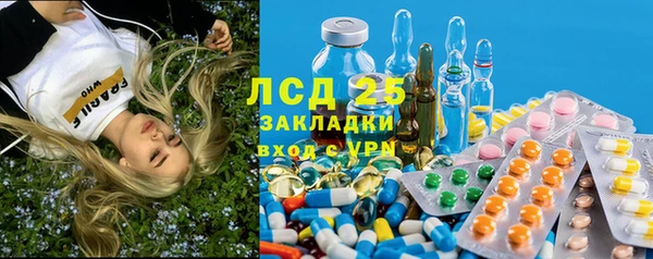 экстази Бикин
