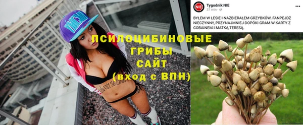 а пвп мука Арсеньев