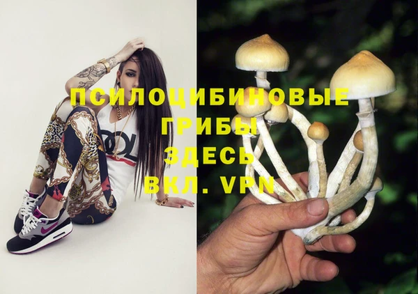 а пвп мука Арсеньев
