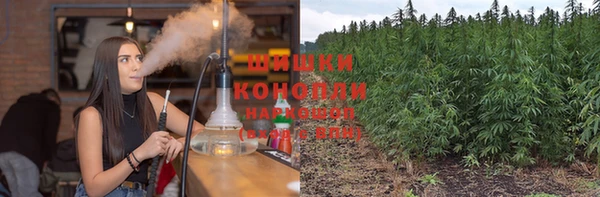 мяу мяу мука Аркадак