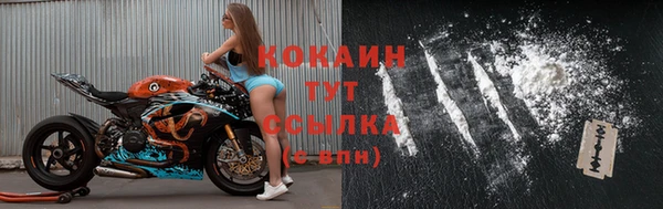 мяу мяу мука Аркадак