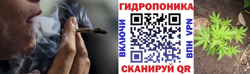 Марихуана план  где можно купить наркотик  Балей 